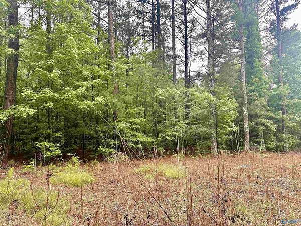 1.3 Acres of Residential Land for Sale in Glencoe, Alabama