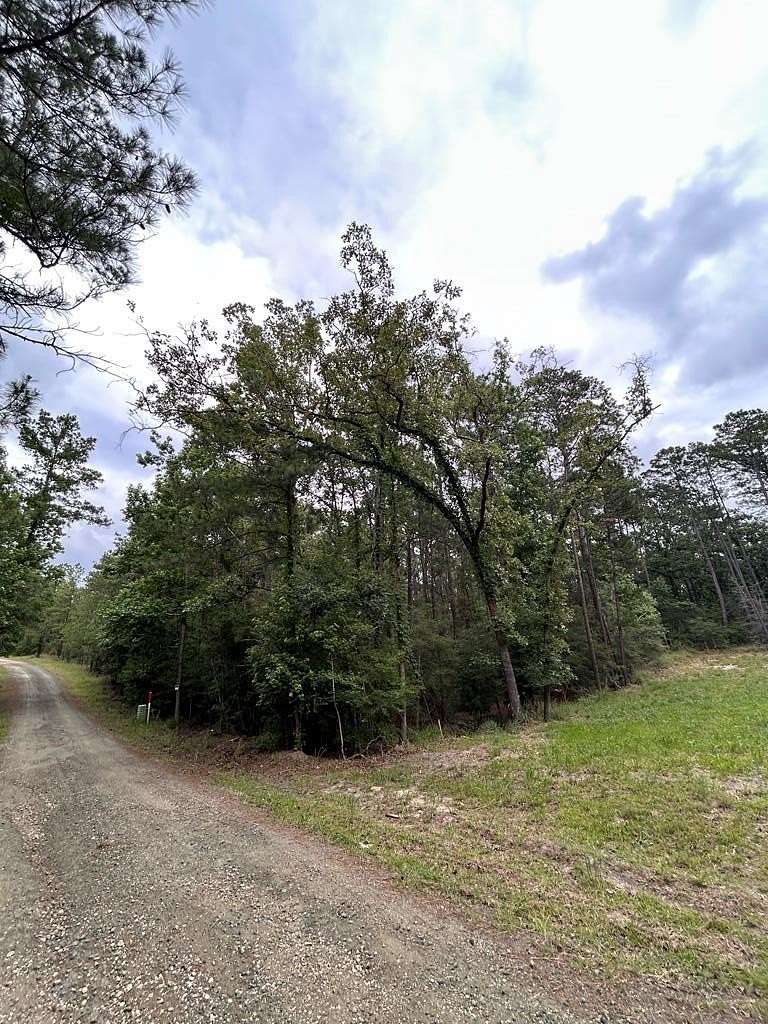 0.19 Acres of Residential Land for Sale in Brookeland, Texas