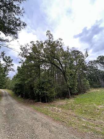 0.19 Acres of Residential Land for Sale in Brookeland, Texas
