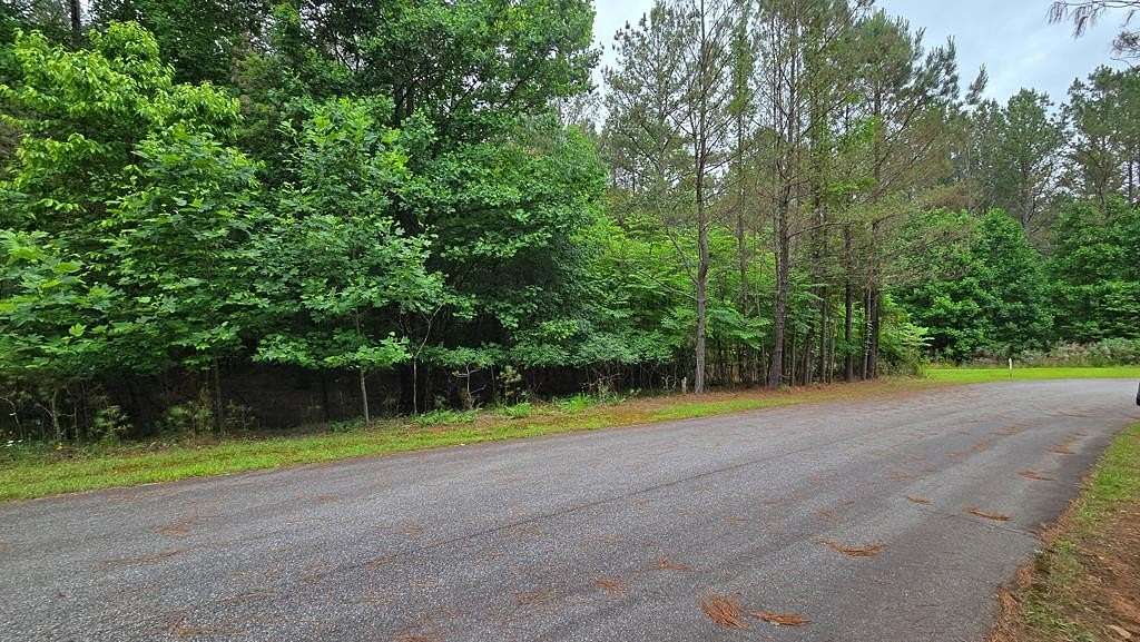 1 Acre of Residential Land for Sale in Blairsville, Georgia