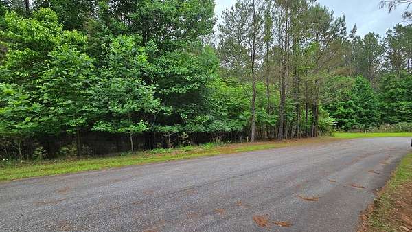 1 Acre of Residential Land for Sale in Blairsville, Georgia