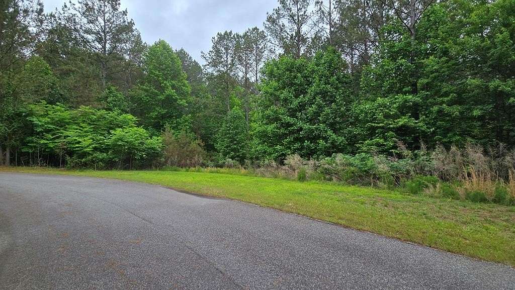 1.4 Acres of Residential Land for Sale in Blairsville, Georgia