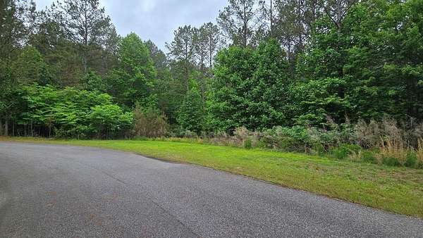 1.4 Acres of Residential Land for Sale in Blairsville, Georgia