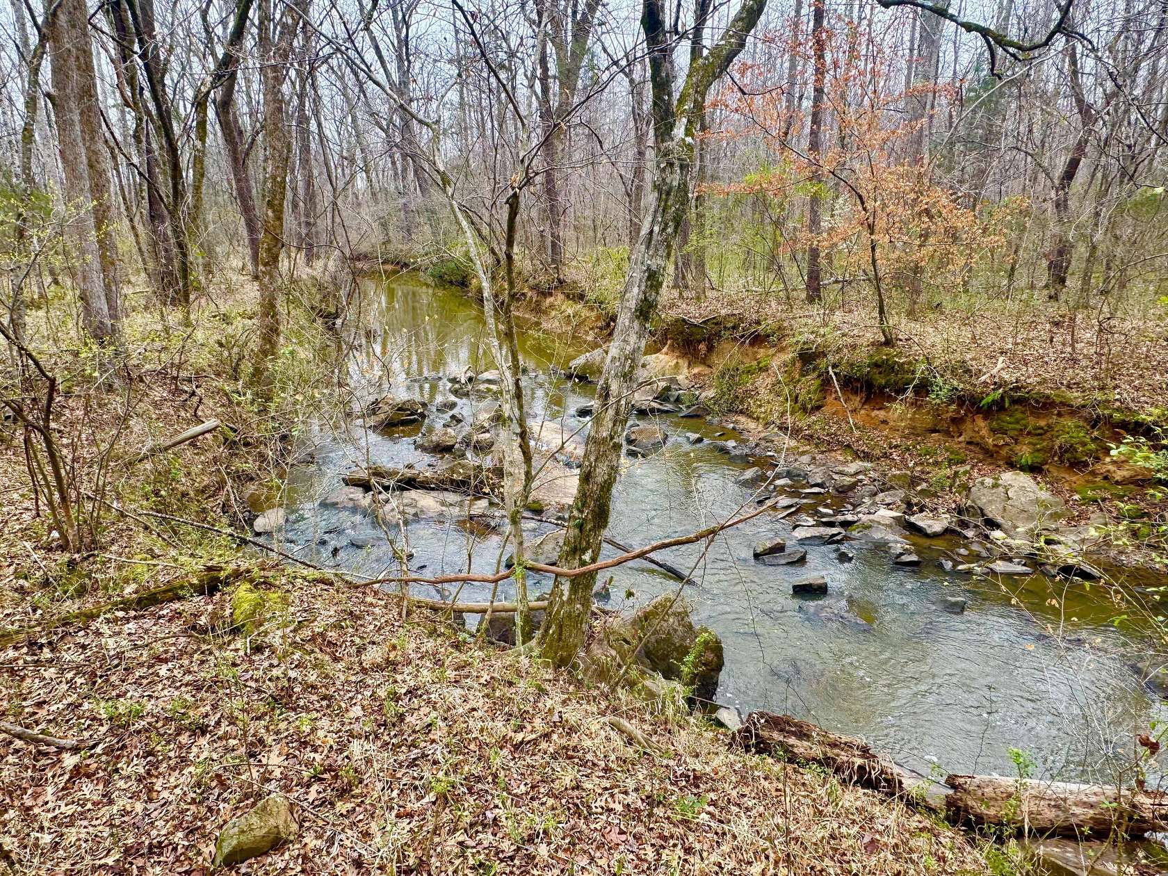 10 Acres of Recreational & Residential Land for Sale in Lancaster, South Carolina