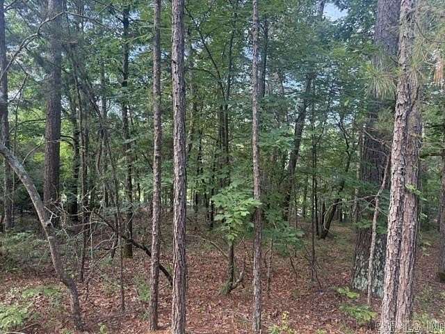 0.22 Acres of Residential Land for Sale in Hot Springs Village, Arkansas