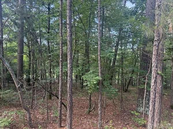 0.22 Acres of Residential Land for Sale in Hot Springs Village, Arkansas
