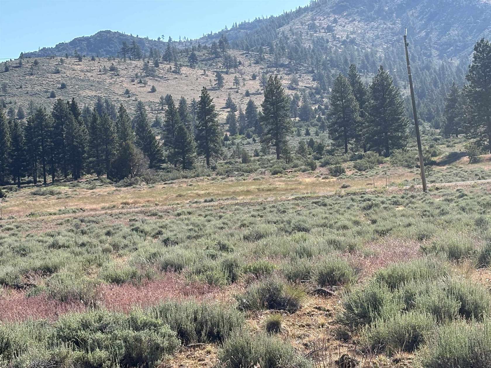 0.5 Acres of Land for Sale in Loyalton, California
