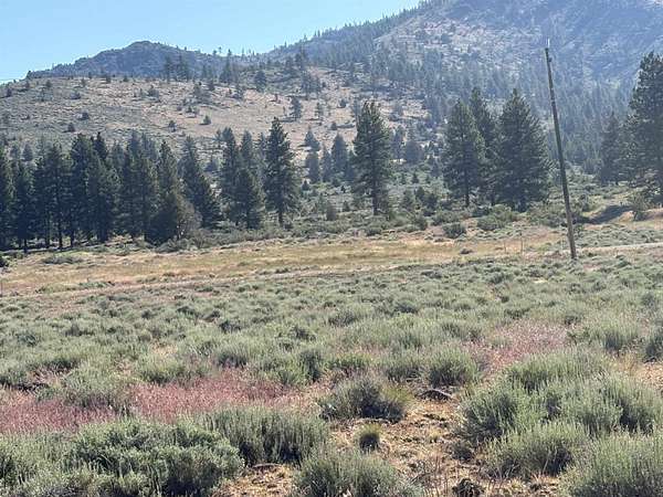 0.5 Acres of Land for Sale in Loyalton, California