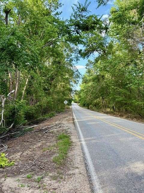 199 Acres of Recreational & Residential Land for Sale in Taylor, Mississippi