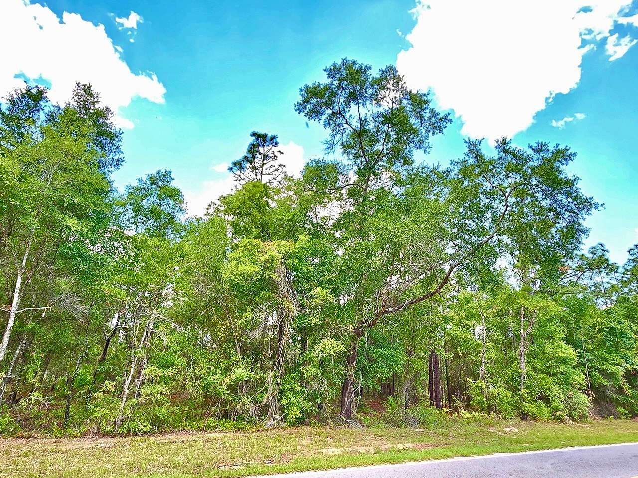 0.1 Acres of Residential Land for Sale in Hawthorne, Florida