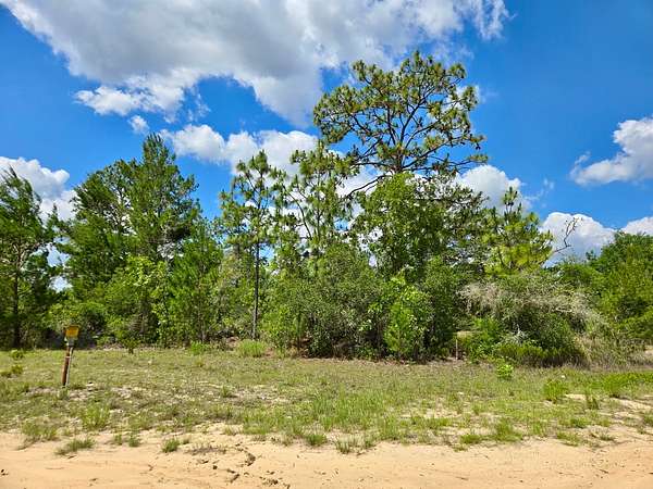 0.14 Acres of Residential Land for Sale in Interlachen, Florida