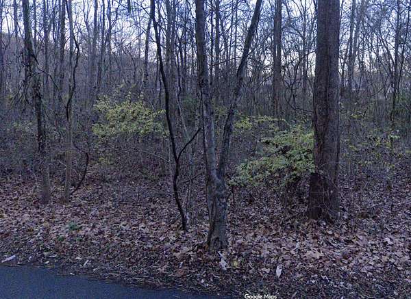 0.28 Acres of Residential Land for Sale in Whites Creek, Tennessee