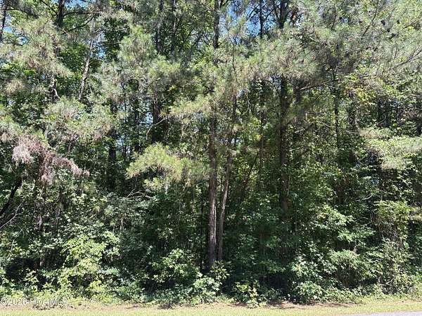 1 Acre of Residential Land for Sale in McCormick, South Carolina