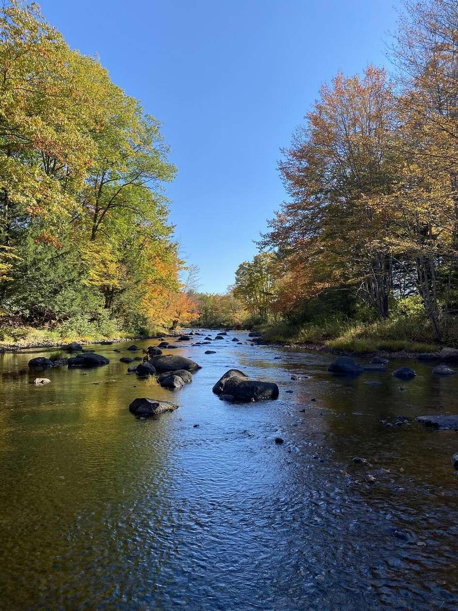 7.3 Acres of Land for Sale in Carthage, Maine