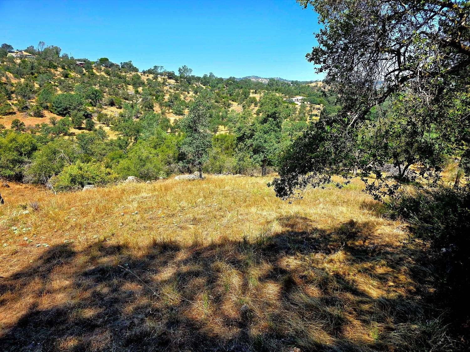 10.7 Acres of Land for Sale in Coarsegold, California