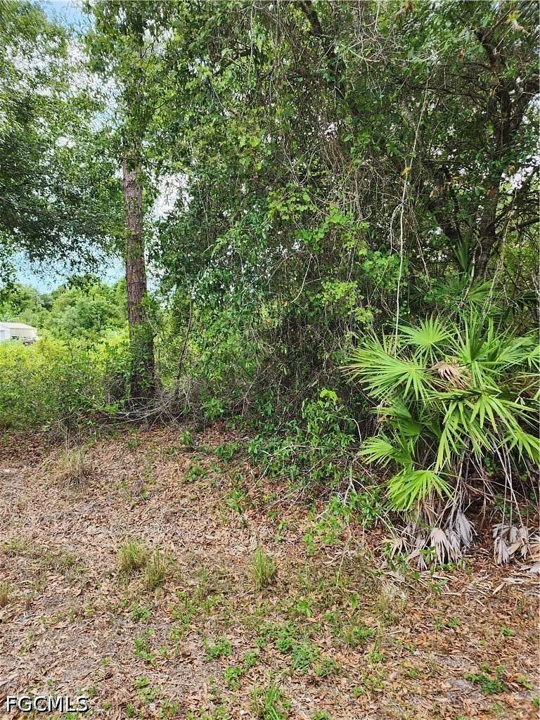 0.5 Acres of Residential Land for Sale in Lehigh Acres, Florida