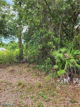 0.5 Acres of Residential Land for Sale in Lehigh Acres, Florida
