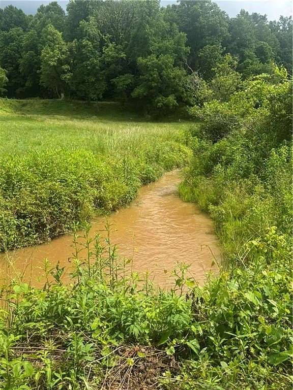 2 Acres of Residential Land for Sale in Ellijay, Georgia