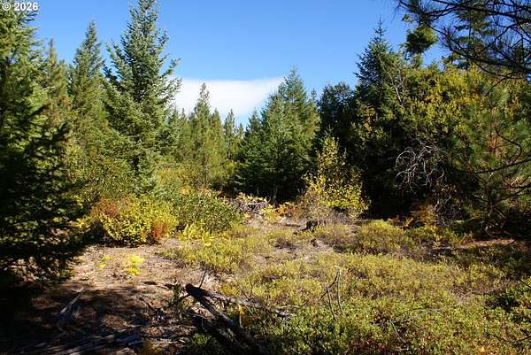 90 Acres of Recreational & Residential Land for Sale in Goldendale, Washington