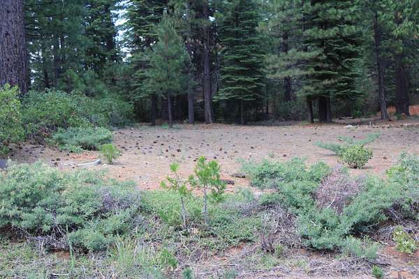 0.33 Acres of Land for Sale in Lake Almanor Peninsula, California