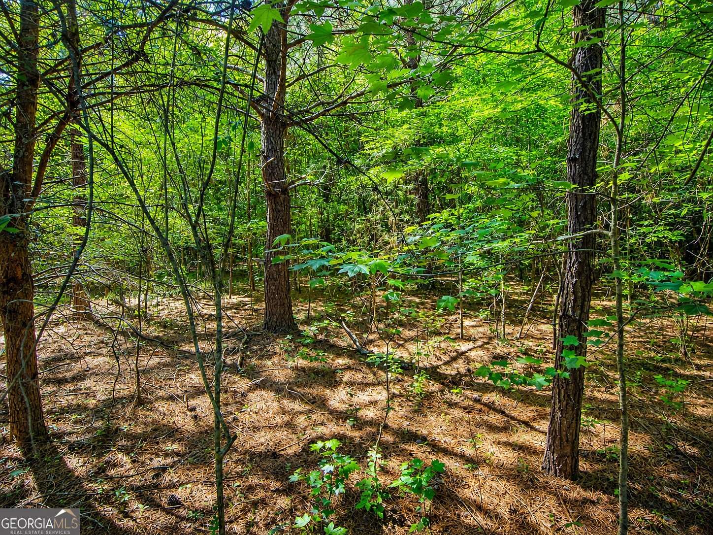 15 Acres of Recreational Land for Sale in LaFayette, Georgia