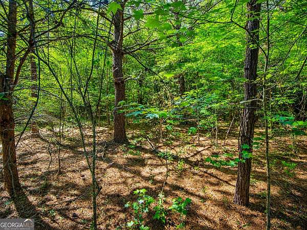 15 Acres of Recreational Land for Sale in LaFayette, Georgia