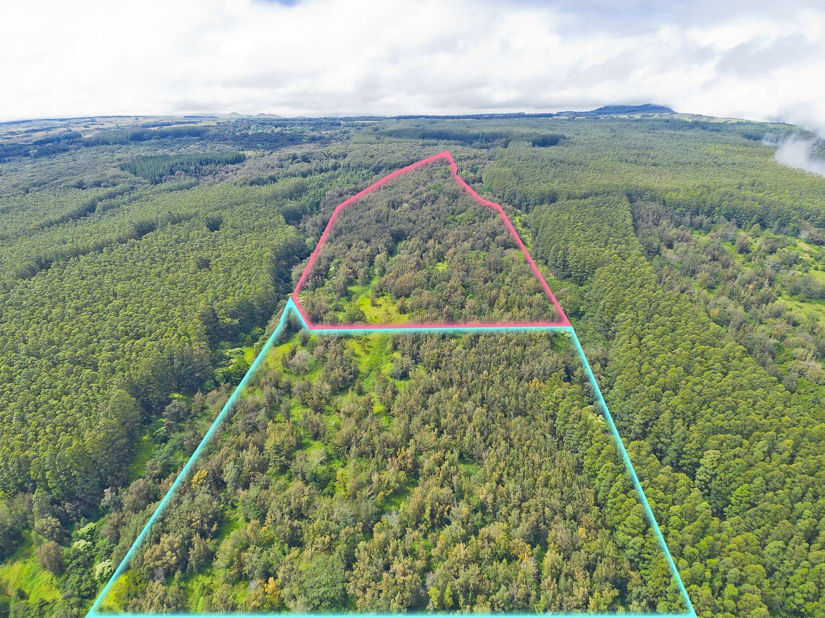 73.9 Acres of Recreational & Residential Land for Sale in Honokaa, Hawaii