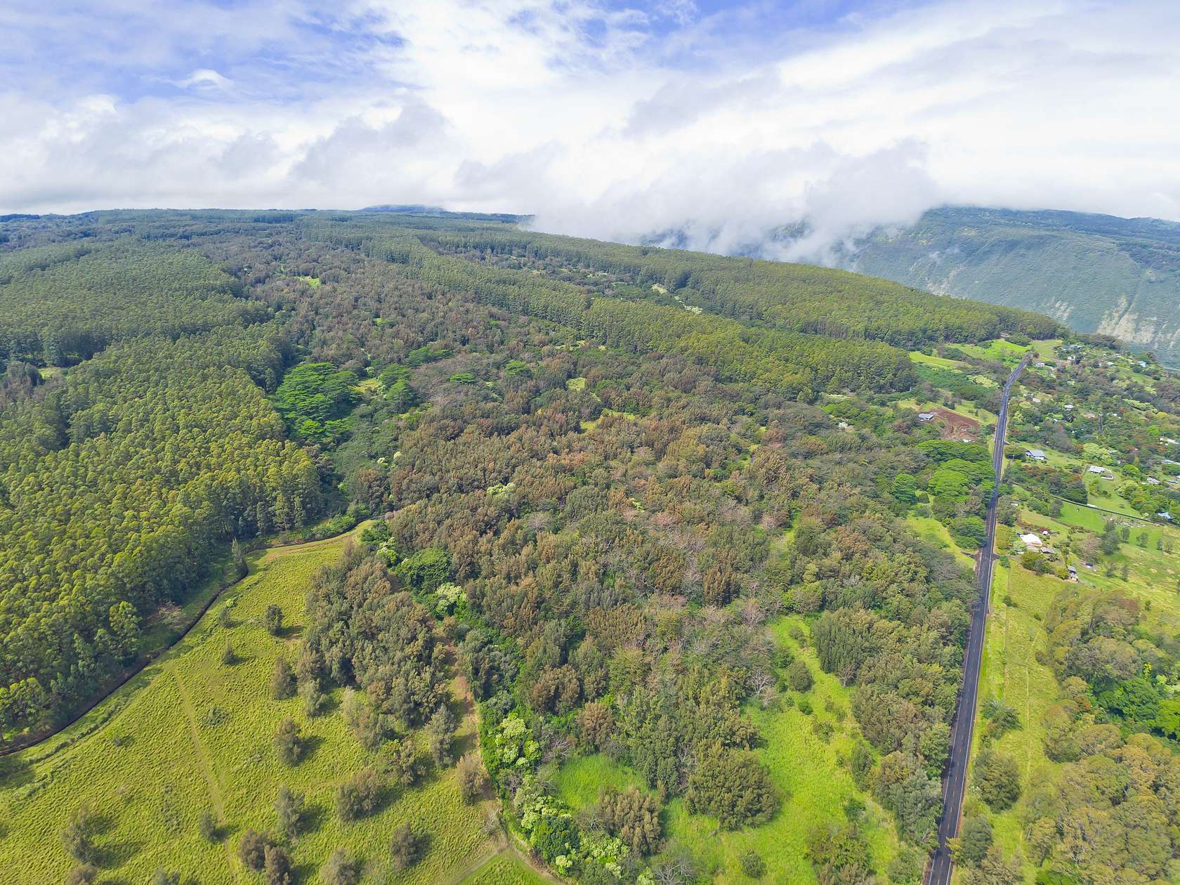 73.9 Acres of Recreational & Residential Land for Sale in Honokaa