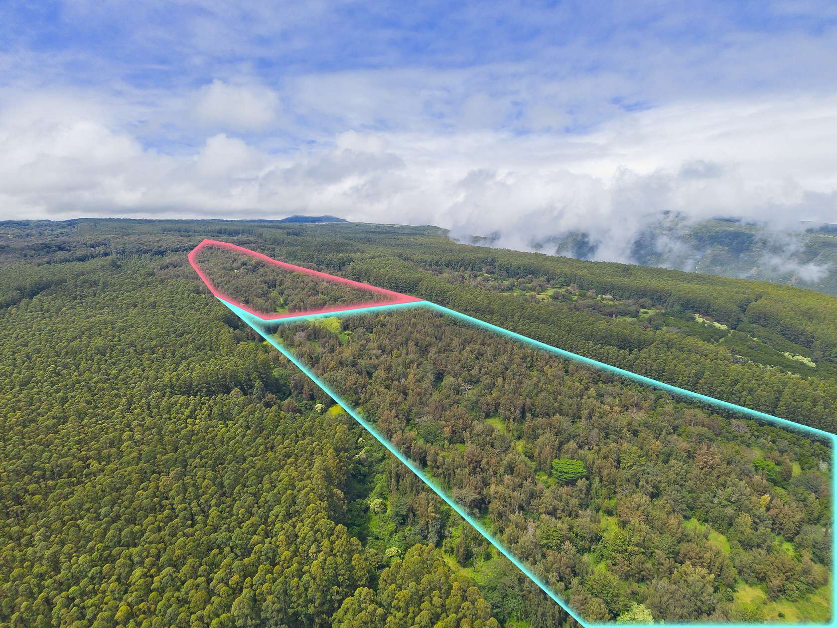 73.9 Acres of Recreational & Residential Land for Sale in Honokaa