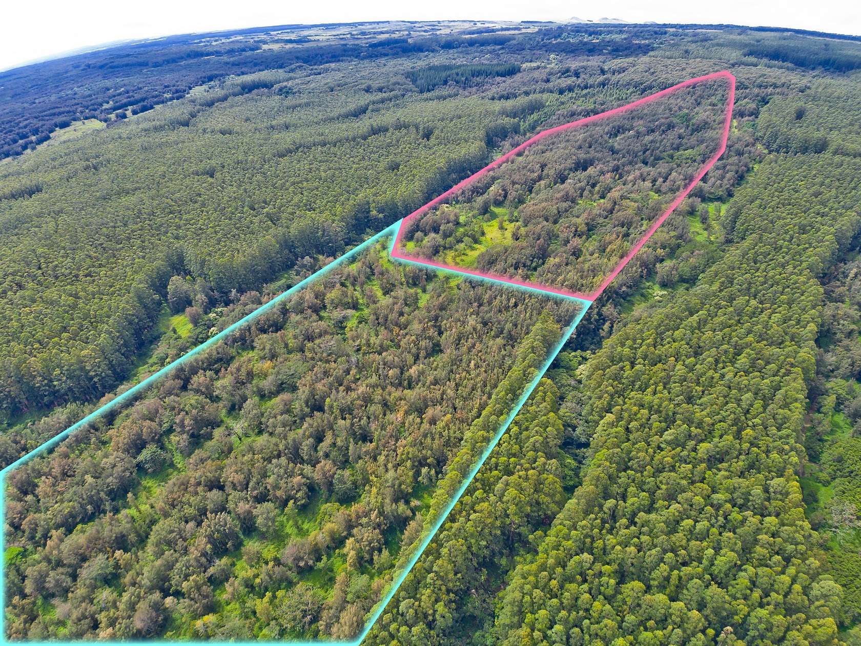 73.9 Acres of Recreational & Residential Land for Sale in Honokaa