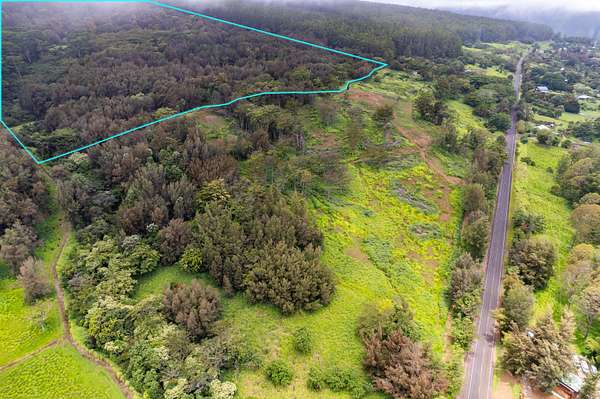 73.9 Acres of Recreational & Residential Land for Sale in Honokaa, Hawaii