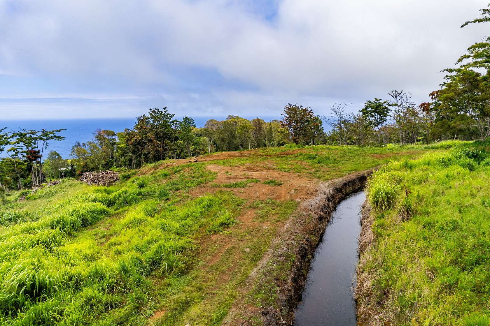 123 Acres of Recreational & Residential Land for Sale in Honokaa, Hawaii