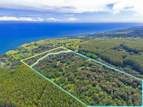 123 Acres of Recreational & Residential Land for Sale in Honokaa, Hawaii