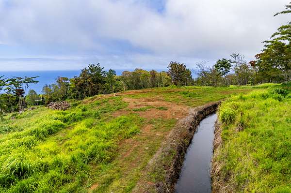 123 Acres of Recreational & Residential Land for Sale in Honokaa, Hawaii