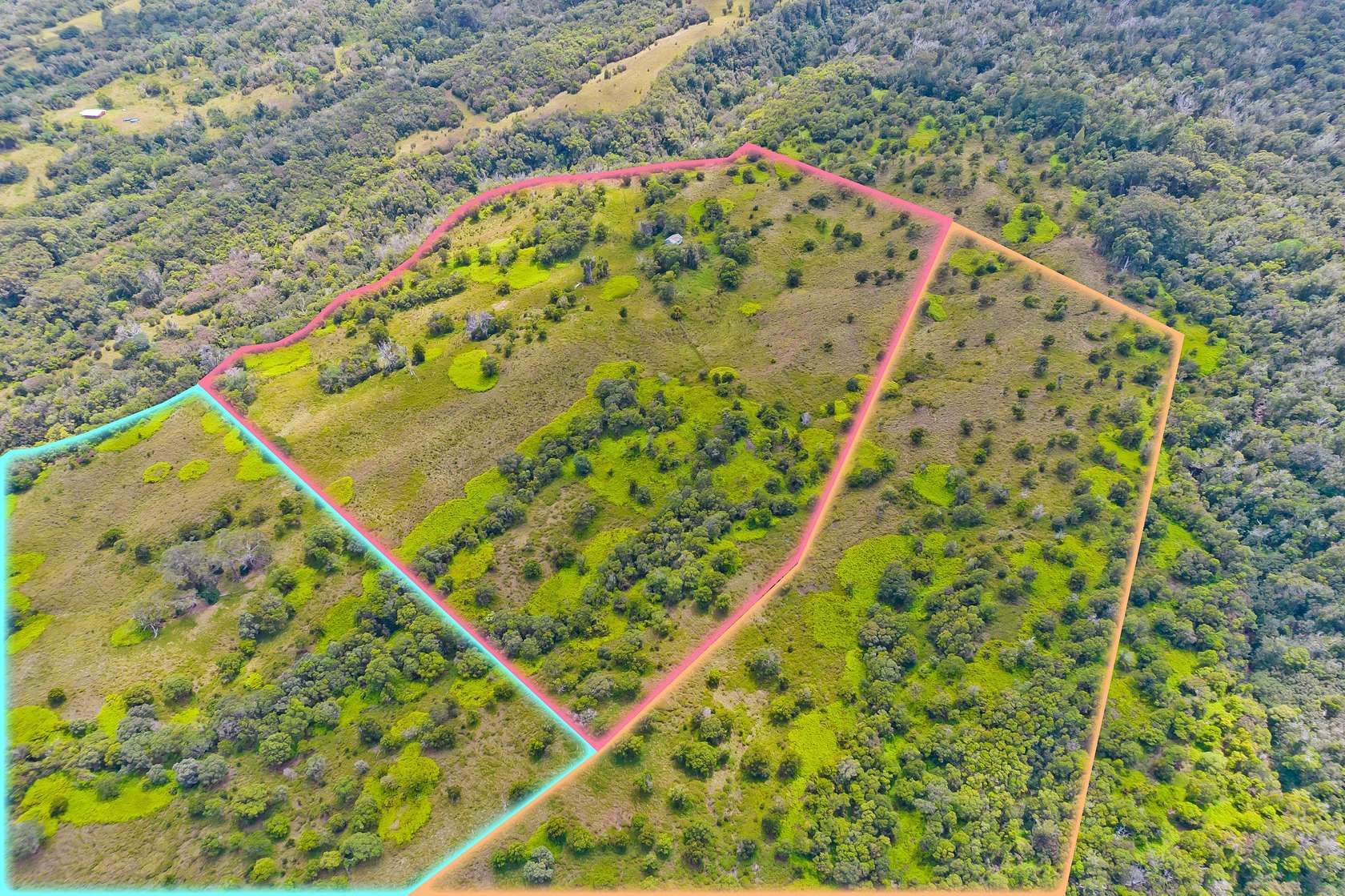 26.3 Acres of Land for Sale in Laupahoehoe, Hawaii