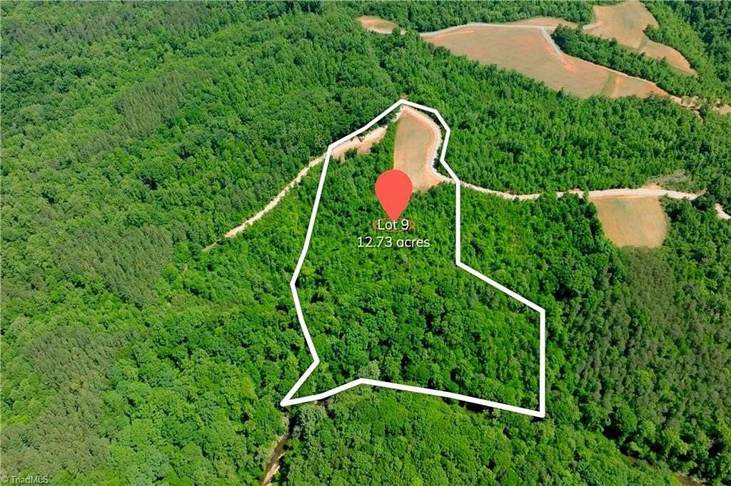 12.7 Acres of Land for Sale in Pinnacle, North Carolina