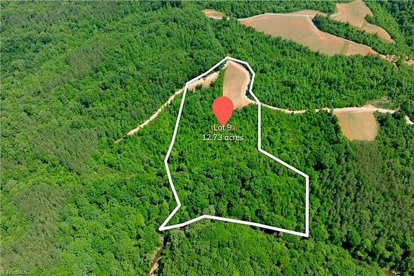 12.7 Acres of Land for Sale in Pinnacle, North Carolina