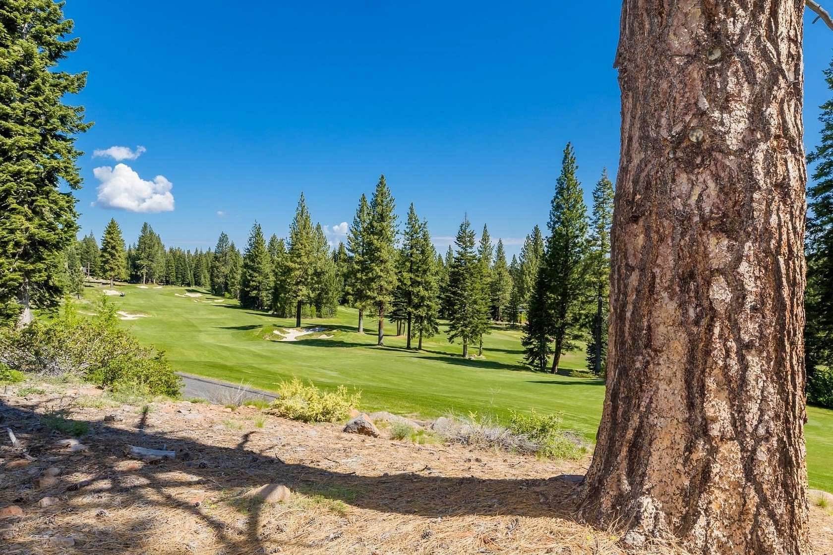 Residential Land for Sale in Truckee, California