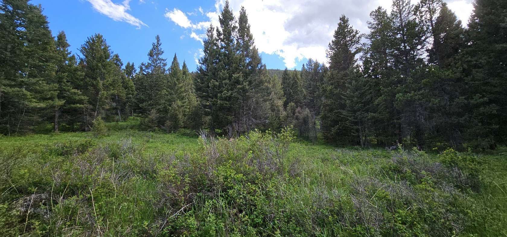 160 Acres of Land for Sale in Helmville, Montana
