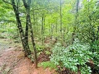 0.83 Acres of Residential Land for Sale in Blue Ridge, Georgia