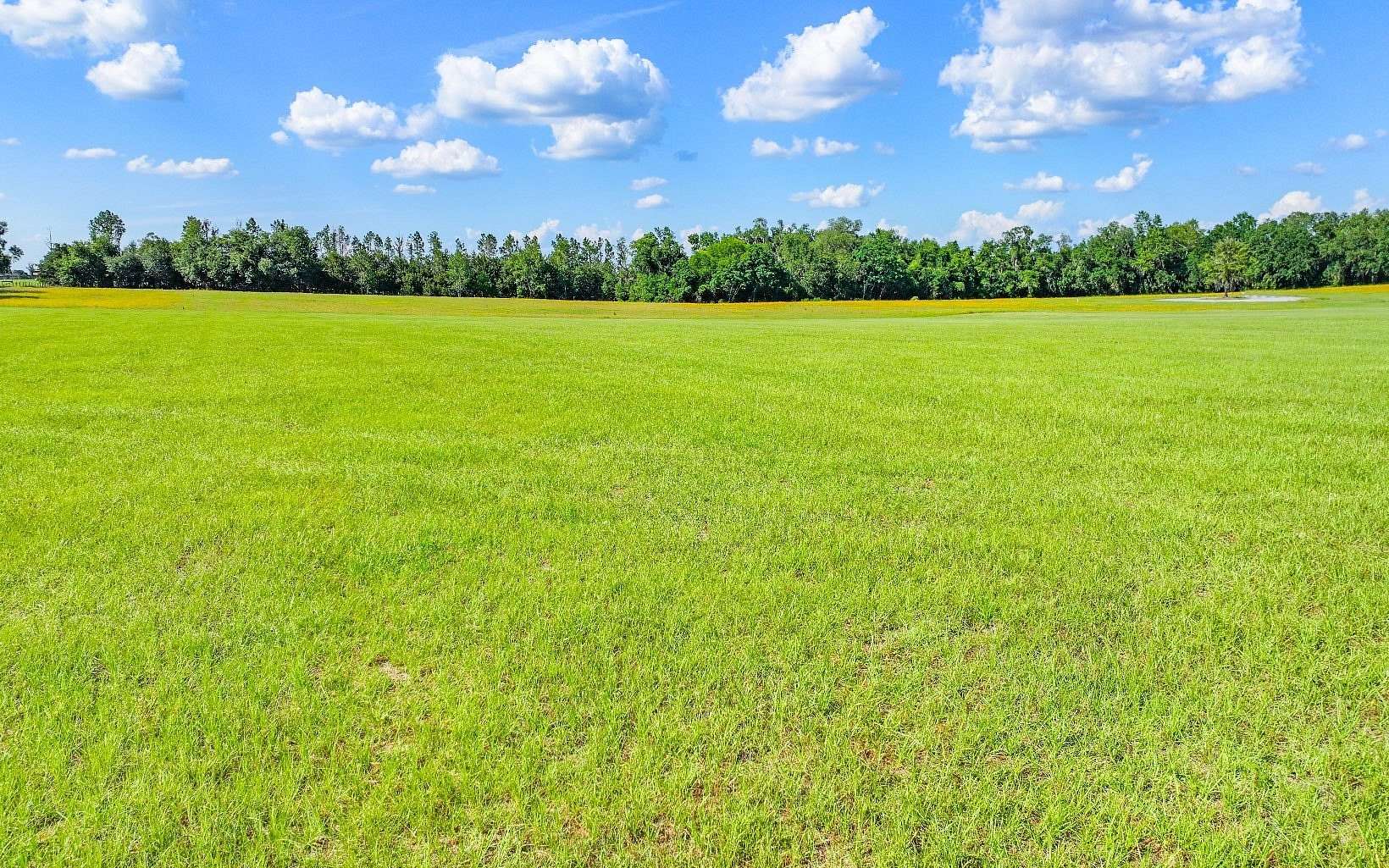 5 Acres of Residential Land for Sale in Madison, Florida
