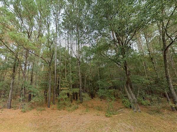 3 Acres of Residential Land for Sale in Willard, North Carolina