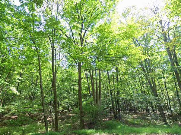 1 Acre of Residential Land for Sale in Hollidaysburg, Pennsylvania