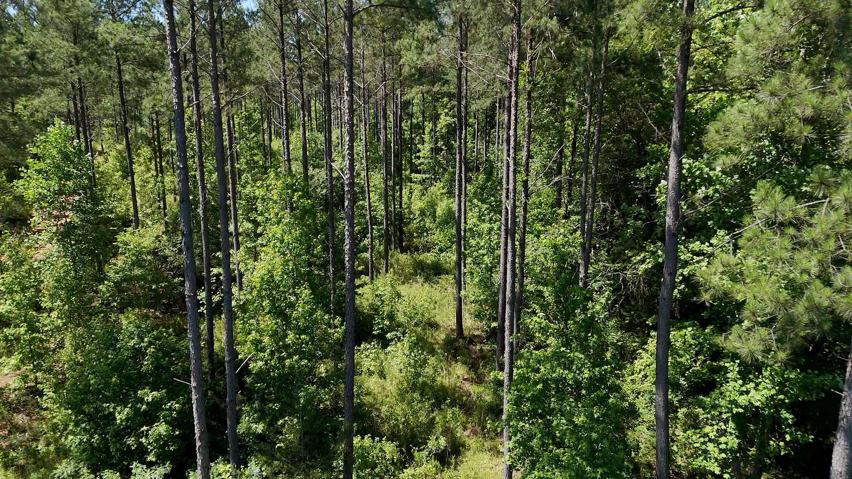 222 Acres of Recreational Land for Sale in Clinton, South Carolina