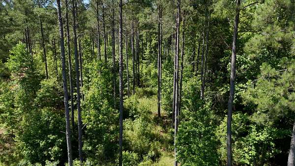 222 Acres of Recreational Land for Sale in Clinton, South Carolina