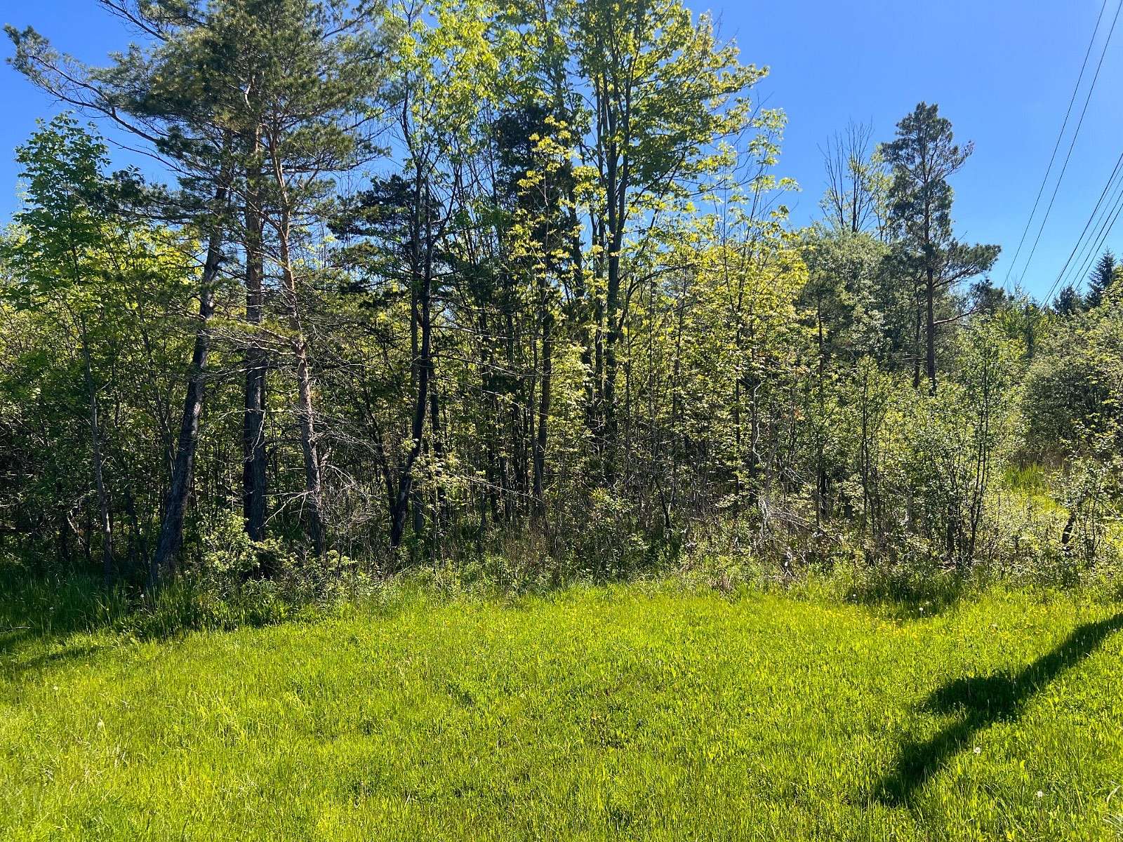 1.7 Acres of Residential Land for Sale in Alden, New York