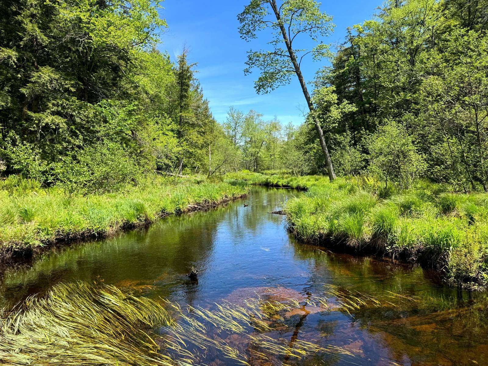 4.65 Acres of Residential Land for Sale in Vienna, New York