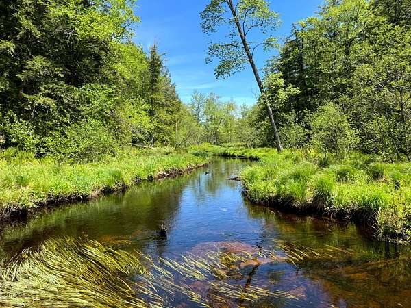 4.65 Acres of Residential Land for Sale in Vienna, New York