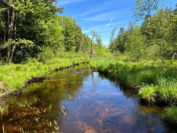 3.5 Acres of Residential Land for Sale in Vienna, New York