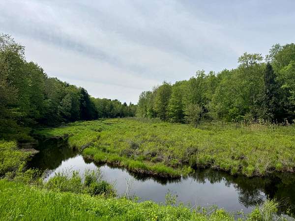 7.22 Acres of Land for Sale in Vienna, New York